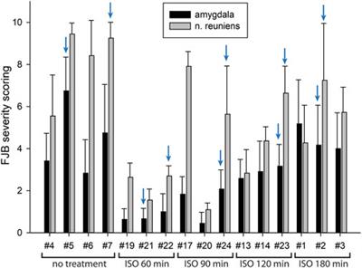 Brief isoflurane administration as an adjunct treatment to control organophosphate-induced convulsions and neuropathology